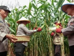 Kapolda Sulsel Tegaskan Pentingnya Sinergi dengan PT Vale untuk Keamanan dan Ketahanan Pangan