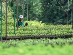 Komitmen Transparansi dan Keberlanjutan, PT Vale Indonesia Raih Penghargaan Asia Sustainability Reporting Awards ke-10