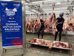 Bosowa Peduli Salurkan Hewan Qurban untuk Warga Gaza Palestina di Tengah Situasi Krisis