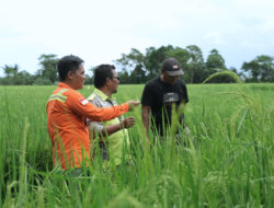 Dorong Kemandirian Ekonomi Lokal, PT Vale Hadirkan Livelihood Restoration Program di Pomalaa