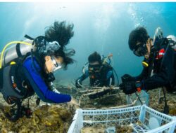 PT Vale Tanam 25 Struktur Terumbu Karang dan Bersihkan Pesisir Pulau Bulupoloe