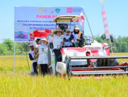 Wagub Sulsel Dampingi Komisi IV DPR RI Panen Raya di Maros, Teguhkan Komitmen Lumbung Pangan Nasional