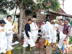 Bersama Pulihkan Towuti: Kolaborasi Pemerintah, Masyarakat, dan PT Vale untuk Ketahanan Bersama