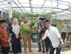 Dukung Ketahanan Pangan Berkelanjutan; Bukit Baruga dan Pemkot Makassar luncurkan Baruga Urban Farming