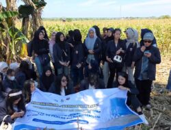 Transformasi Pertanian dengan AI Dosen Universitas Bosowa Kembangkan Computer Vision untuk Pemantauan Hama Tanaman Menuju Swasembada Pangan Berbasis Teknologi