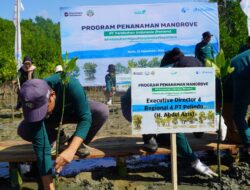 Peringati Hari Maritim Nasional 2025, Pelindo Regional 4 Kick Off Rehabilitasi Mangrove di Bone
