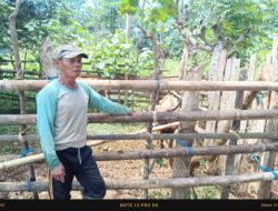 Solidaritas Warga dan PT Vale Percepat Pemulihan Dampak Kebocoran Pipa di Towuti