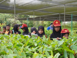 Kunjungan Edukatif, PT Vale Jadi Pilihan Belajar Pengelolaan Lingkungan untuk Pelajar Sekolah Dasar