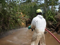 Wujud Nyata Pemulihan di Towuti, PT Vale Tuntaskan Enam Titik Penanganan Tumpahan Pipa Minyak