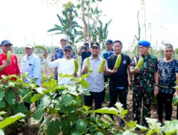 Launching Kebun MBG Terintegrasi, Gubernur Sulsel: SPPG Wajib Serap Pangan Lokal