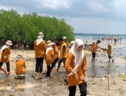 Gerakan Peduli Lingkungan, Sekolah Islam Athirah Tanam Ratusan Mangrove di Puntondo Takalar