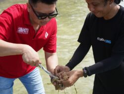 Bersama Pelanggan, Telkomsel Dorong Pelestarian Lamun dan Hadirkan Rumah Kultivasi dari Donasi Telkomsel Poin di Desa Maharayya – Kepulauan Selayar