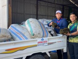 RUMPUT LAUT NAIK KELAS! TIM PENGABDIAN UNIBOS DORONG DESA AMPEKALE MAROS TEMBUS STANDAR EKSPOR LEWAT TEKNOLOGI “PRESS BALL” DAN STRATEGI B2B