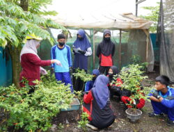 Dorong Literasi Bagi Generasi Muda, PT Vale Edukasi Siswa di Morowali Kelola Sampah Secara Bijak pada Peringatan HPSN