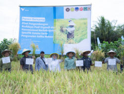 Dukung Asta Cita Presiden dan SDGs Ketahanan Pangan, PT Vale Panen Bersama Demplot Padi Berkelanjutan di Kolaka