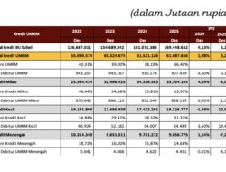 Kredit Usaha Mikro Mendominasi Penyaluran Kredit UMKM di Sulawesi Selatan