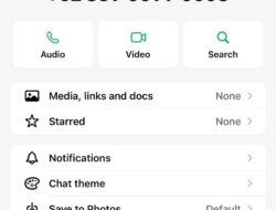 Aliyah Mustika Ilham Peringatkan Modus Penipuan Berkedok Sumbangan Masjid