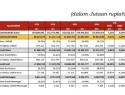 Kredit Usaha Mikro Mendominasi Penyaluran Kredit UMKM di Sulawesi Selatan