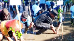 Gubernur Sulsel Tanam 1.000 Mangrove di Selayar Peringati Hari Lingkungan Sedunia, Ajak Warga Hijaukan Pesisir