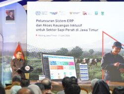 OJK dan ILO Luncurkan Enterprise Resource Planning, Tingkatkan Akses Pembiayaan Peternak Sapi Perah