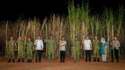 Gubernur Sulsel Hadiri Panen Raya Tebu Bersama TNI, Tegaskan Dukungan pada Program Presiden Prabowo