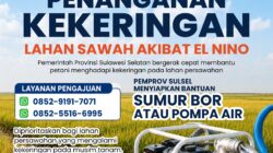 Antisipasi Ancaman El Nino, Gubernur Sulsel Siapkan Bantuan Pompa Air dan Sumur Bor Bagi Lahan Pertanian