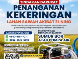 Antisipasi Ancaman El Nino, Gubernur Sulsel Siapkan Bantuan Pompa Air dan Sumur Bor Bagi Lahan Pertanian