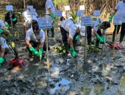 Turut Dukung InJourney Green, Bandara Internasional Sultan Hasanuddin Hidupkan Ekowisata di Kabupaten Maros