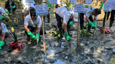 Turut Dukung InJourney Green, Bandara Internasional Sultan Hasanuddin Hidupkan Ekowisata di Kabupaten Maros