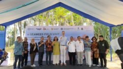 OJK Dorong Inklusi Keuangan Petani Rumput Laut Melalui Implementasi e-Seqweed