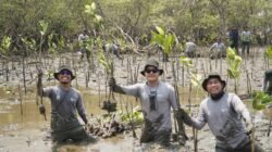 Perkuat Ekosistem Pesisir Pangkep, Kalla Toyota Tanam 43.000 Pohon Mangrove dalam Rangka HUT KALLA ke-74