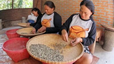 Energi Pertamina Menggerakkan Kandora Coffee, Wanginya Kopi Toraja Menembus Pasar Global
